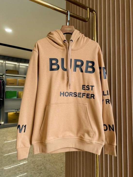 Picture of Burberry Hoodies _SKUBurberryS-2XLaztx86081837